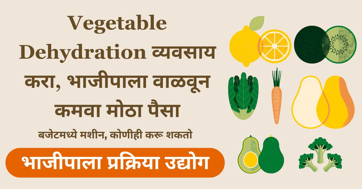 vegetable dehydration business kasa karava