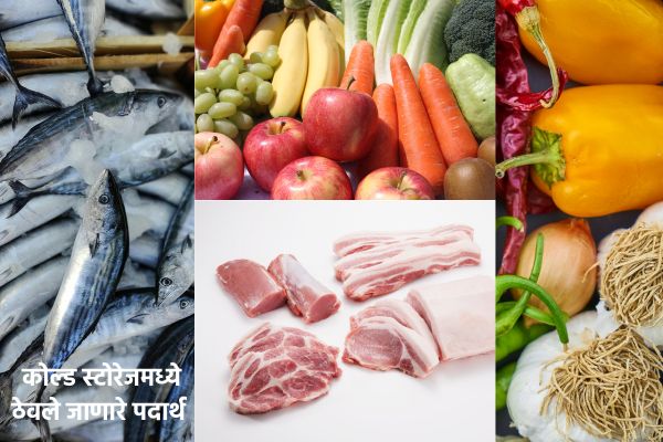 कोल्ड स्टोरेज उत्पादने