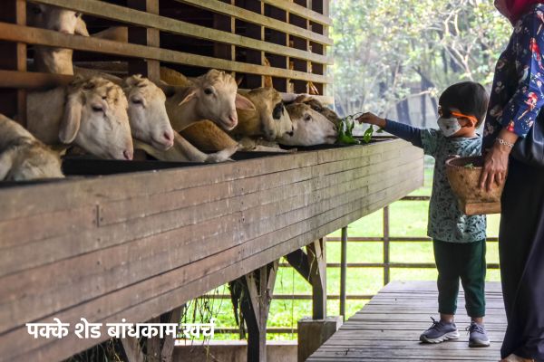 पक्के शेड बांधकाम खर्च