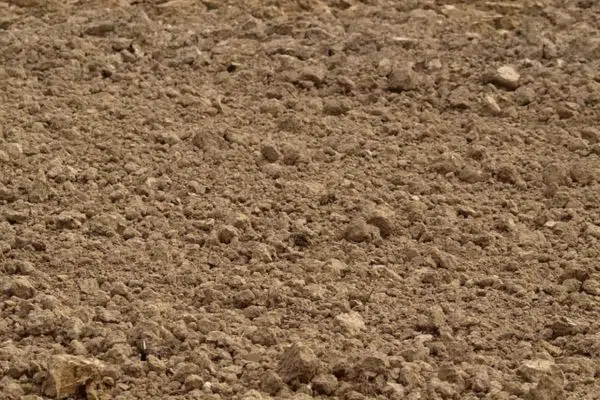 वीटभट्टी करता लागणारा कच्चा माल