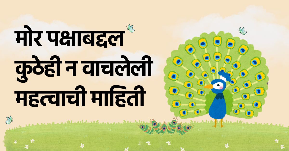 मोर पक्षी माहिती मराठी